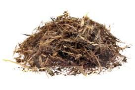 Tabebuia Corteccia - Decotto