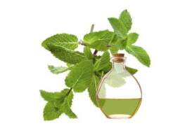 Acqua/Idrolato di Menta Glaciale Biologica