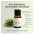 Olio Essenziale Tea Tree Puro Naturale - Uso Cosmetico Pelle e Capelli – ZenStore