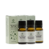 Kit Essenziali Purificanti – Capelli e Benessere