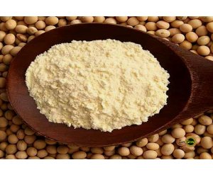 Lecitina di Soia Polvere Uso Alimentare e Cosmetico
