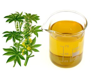Olio di Ricino Rosso