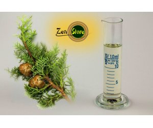 Olio Essenziale di Cipresso