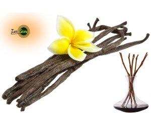 Olio Fragranza Baccelli di Vaniglia