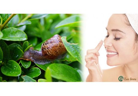 Bava di lumaca: i benefici per la nostra pelle