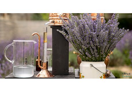 Idrolati o acque aromatiche. Gli Estratti vegetali delicati per pelle e capelli