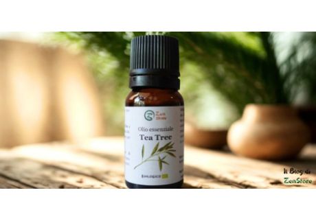 Tea Tree Oil: l'olio essenziale potente e versatile da tenere sempre in casa