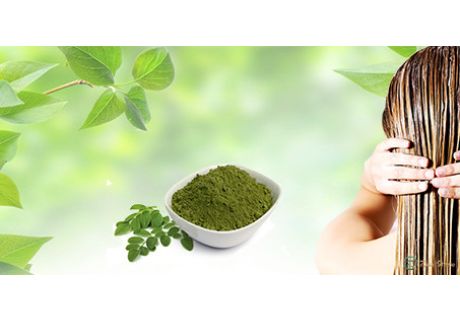 Sidr: l'erba che lava e rinforza i capelli
