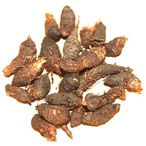 Nagarmotha (Cyperus Rotundus)