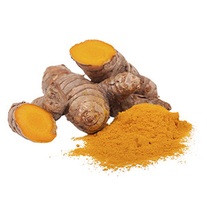Curcuma Longa