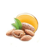 Olio di mandorle