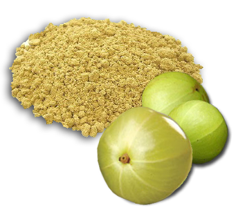 Amla - Emblica officinalis - Uva Spina Indiana