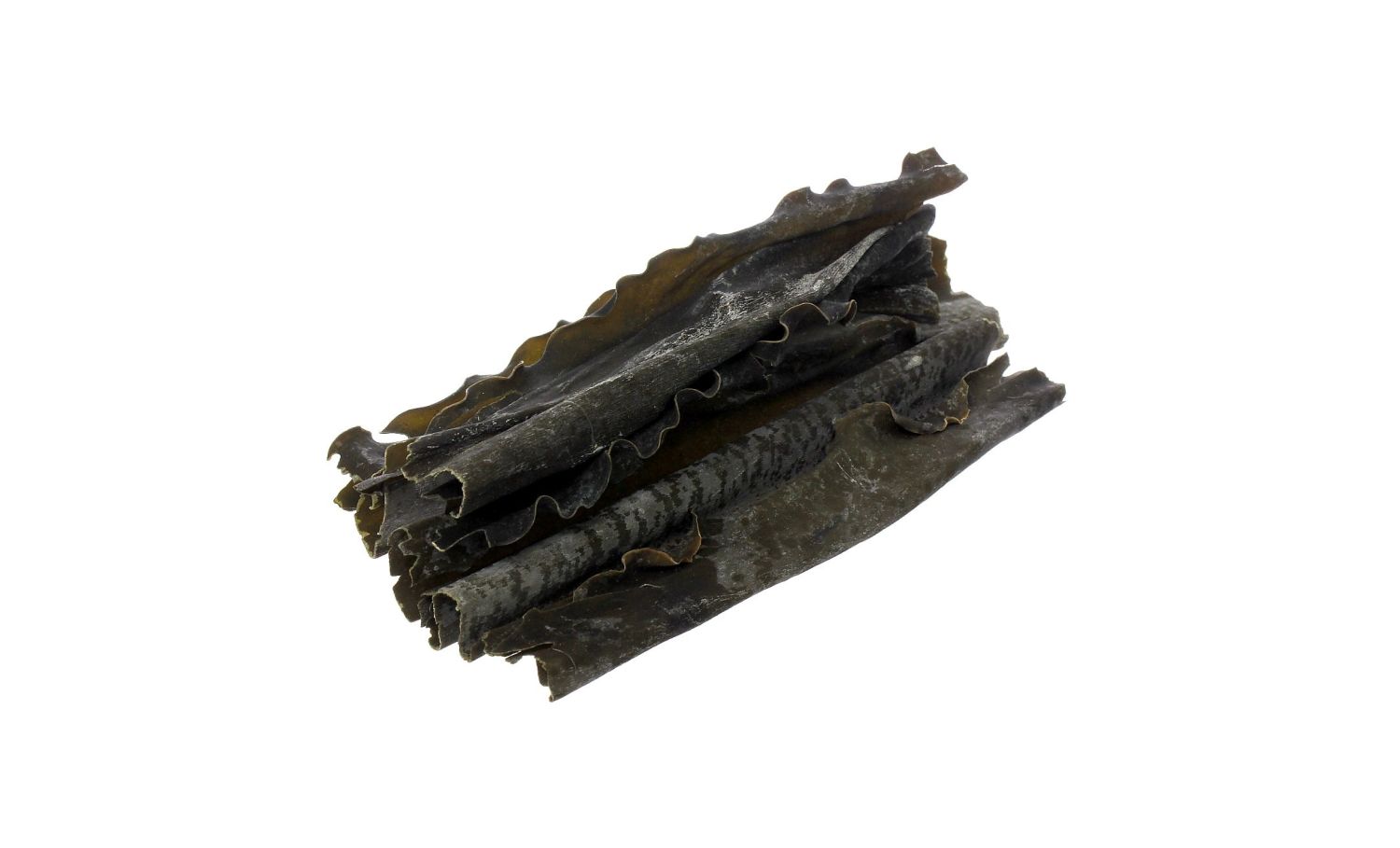 alga kombu
