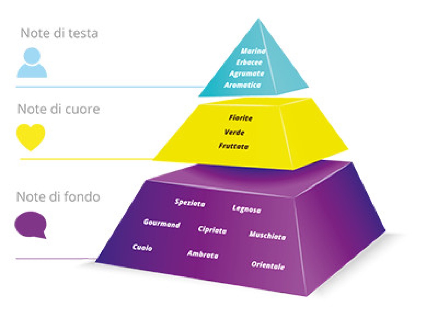 La piramide olfattiva